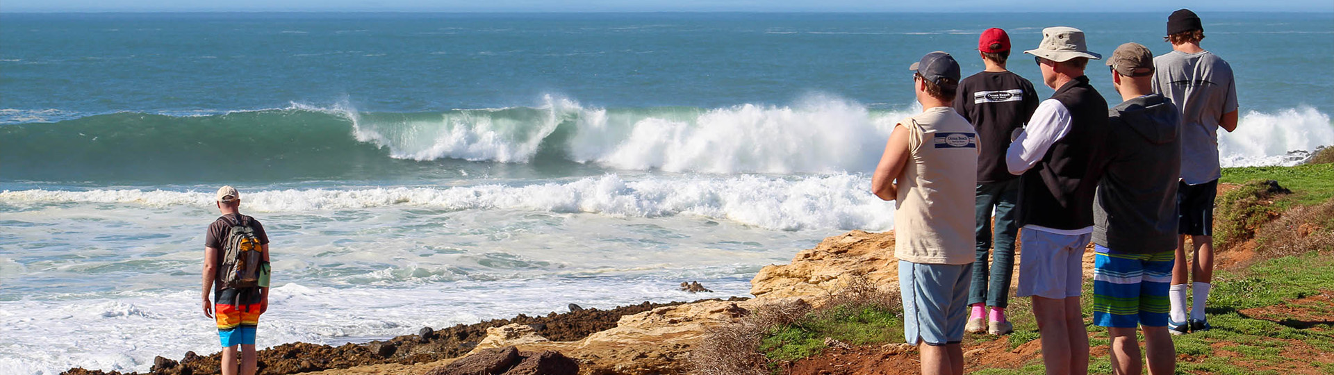 Baja Calfironia Experience Tours