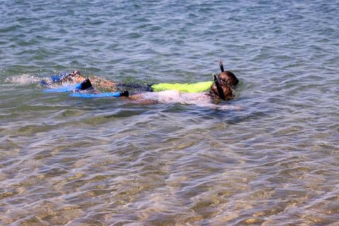Snorkeling Snorkeling